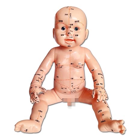 Pediatric Massage Doll Model - 50cm Acupuncture Point Doll Model - with Acupuncture Point, for Chinese Medicine Meridians Study Tool (A)