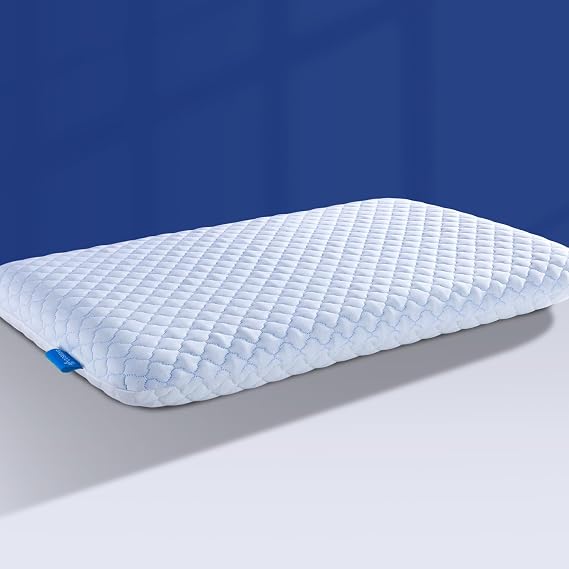 Thin Memory Foam Pillow 2.75 Inch, Low Profile Flat Pillow for Stomach and Back Sleepers, Slim Bed Pillow with Removable Cooling Washable Cover, 60 x 40 CM