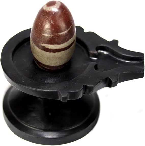 ASHIRWAD Narmadeshwar Shivling Original Narmada River Shiva Bana Lingam with Black Base (6.5 inches)