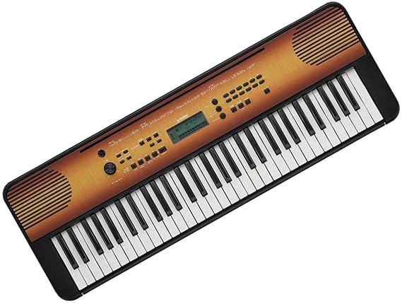 Multifunction Portable Electronic Piano 61-key Keyboard Piano With 384 Timbre For Beginner Keyboard Piano for Beginner (Color : 02)