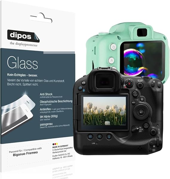dipos 2x 9H Matte Screen Protector for Bigasuo Frameo