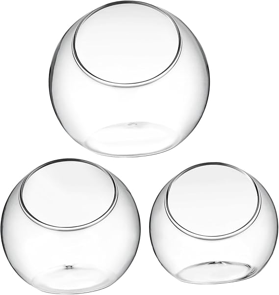 Glass Terrarium Globe 3pcs Slant Glass Multiple Uses
