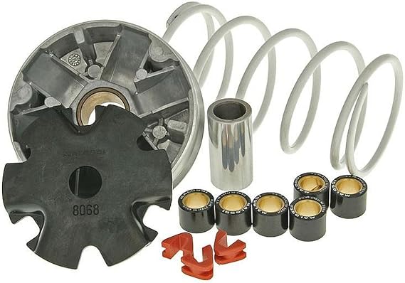 Malossi variator Multivar for 139QMB/QMA 4-stroke