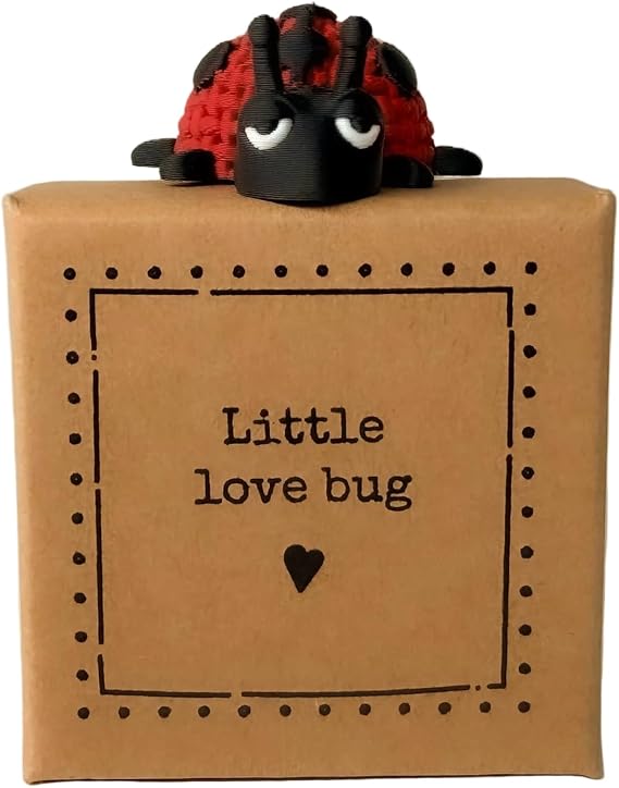 “Little Love Bug” Tiny Little Gift – Ladybird Mini Figurine Keepsake | Best Friend & Loved One Sentimental Valentine Gift | Cute UK Handmade Token Present