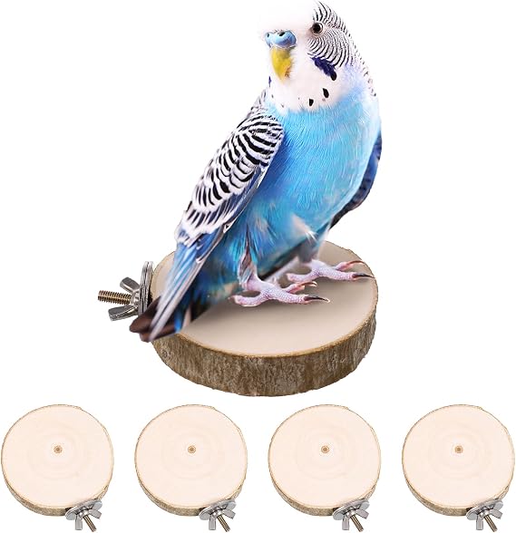 ALTcompluser 4 Pack Bird Perch Stand Platform Toy Parrots Cage Toys Round Wooden Springboard for Budgie, Cockatiels, Finches, Small Parakeets Bird Toys