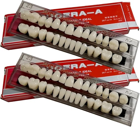 56 Pcs False Teeth Dental Complete Acrylic Resin Denture Teeth, 2 Set Whole Teeth Synthetic Polymer Denture Tooth, 23 Shade A2 Upper + Lower Dental Materials for Replacement, DIY, or Halloween (23 A2)