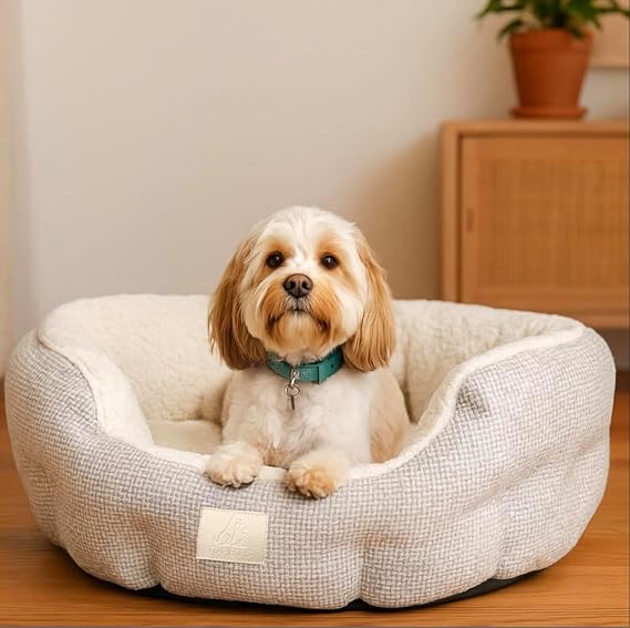 Snuggle Circle Pet Bed – Cozy Plush Dog & Cat Bed with Sherpa Lining, Non-Slip Base, Machine Washable (57×52×18/70×65×18) (Medium (57×52×18))