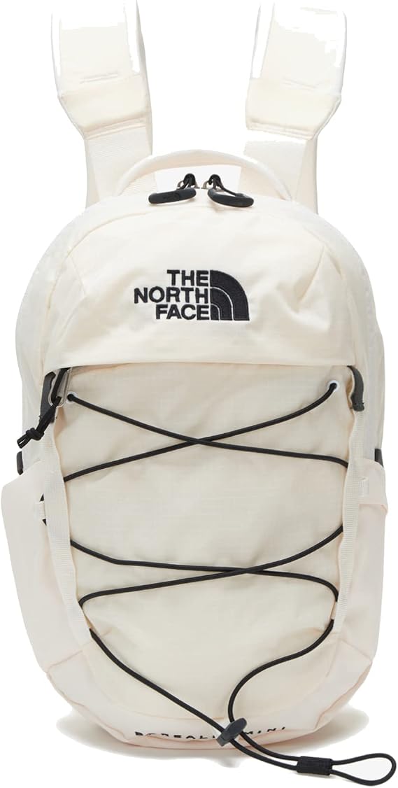 The North Face Borealis Mini Backpack