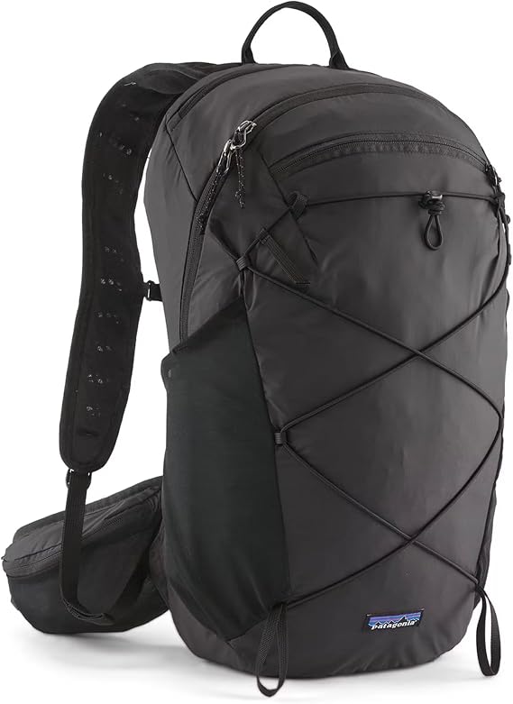 Patagonia Terravia Pack 22L L Black
