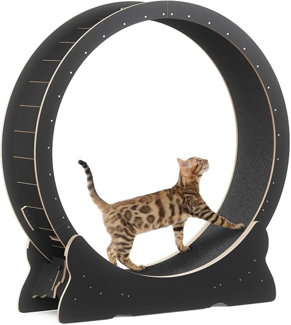 Cat Exercise Wheel Large Treadmill Exerciser for Indoor Cats 41"/46" Inch Love Kitty Running Toy Walking Training for Fitness Weight Loss Device Suitable for Most Cats Physical Black-L
