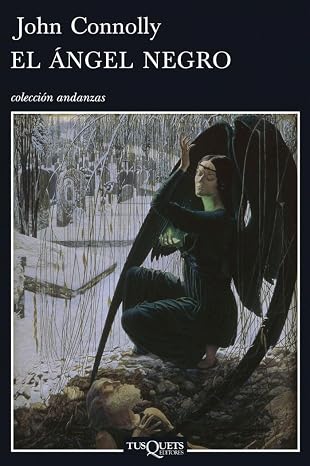 El ángel : 5 (Andanzas)