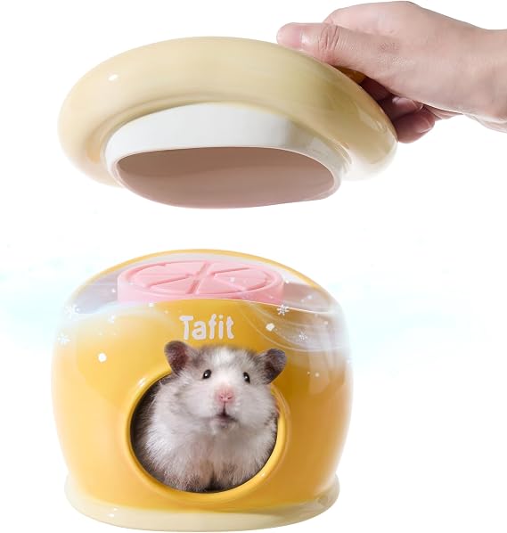 Ceramic Igloo Hamster Hideout - Small Animal Habitat Decor Hut for Syrian & Dwarf Hamsters, Gerbils, Mice, Rats - Home House with Ice Box (Orange)