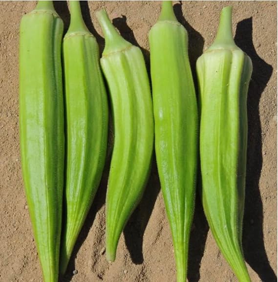 Okra ‘Clemson Spineless’ Seeds – Classic Heat‑Loving Variety with Tender Green Pods, High‑Yield & Fast‑Growing, Pack of 90 Premium Seeds for UK Greenhouses & Gardens