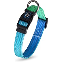 Roses&Poetry Large Dog Collar, Adjustable Reflective Durable Pet Collars for Small Medium Large Dogs (BlueGreen-L)