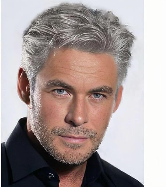 Mens Grey Short Wig Side Part Layered Realistic Hair Wigs Natural Synthetic Guy Male Wig for Daily Use