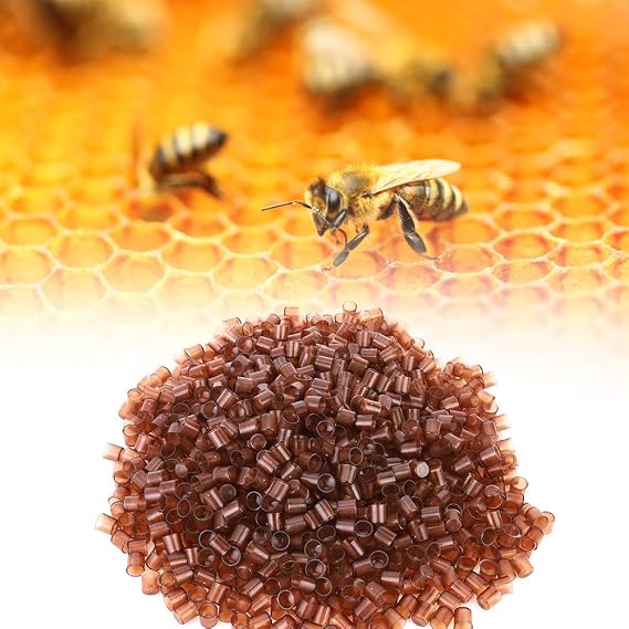 Pssopp 1000PCS Beekeeping Queen Cell Cups, Royal Queen Rearing Cups, Plastic Queen Breeding Base, Beekeeper Equipment Tool for Beekeepers