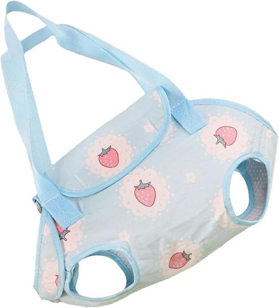 Pet Carrier Bag Portable Purse Tote Pouch