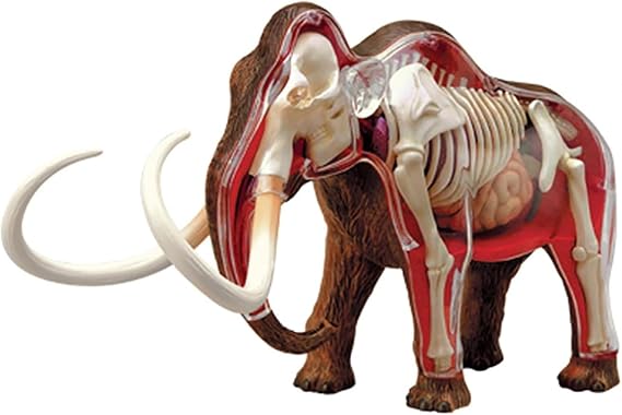 Woolly Mammoth Anatomy Model, Animal Skeleton Specimen, Removable 30 Parts Organs and Body Parts Anatomical Model Kit, for School Teaching Demonstration.