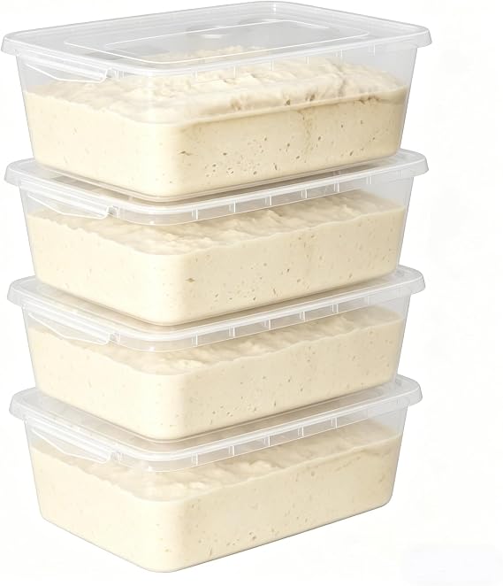 Pack of 4 Plastic Containers with Lids, Clear Latching Container, 14L