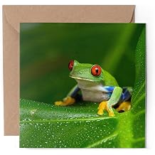1 x Greeting Card Red Eyed Amazon Tree Frog - Blank Birthday Celebration Anniversary #46240