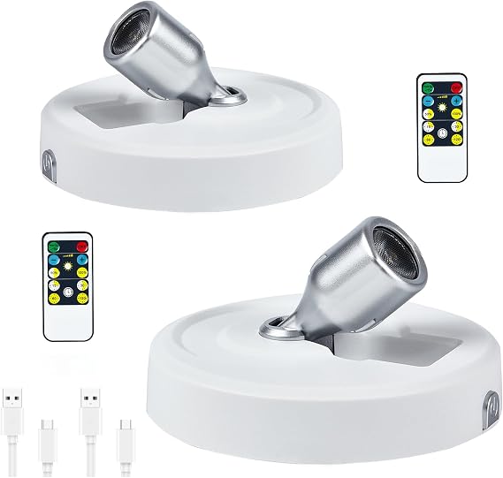 Chargeable Spotlight for Artwork [Energy Class A]