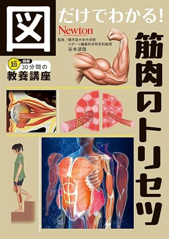 You can tell just by looking at the diagram!  Muscle Torisetsu You can tell just by looking at the diagram! Series