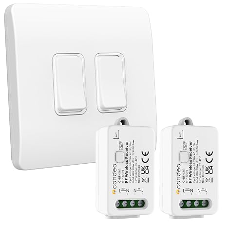 Kinetic Grid Compatible Smart Switch (2-Gang) and Smart Switch Module (2) Kit