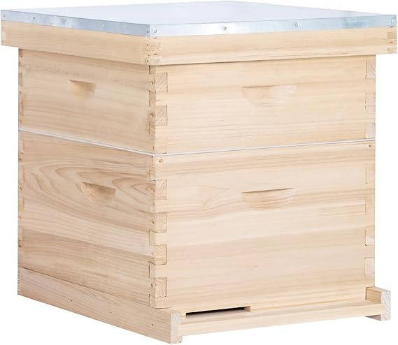 BeeCastle 10 Frames Langstroth Beehive Beehive Starter Kit for Beginners with Beehive Frame and Waxed Foundation (1 Deep Box & 1 Medium Box)