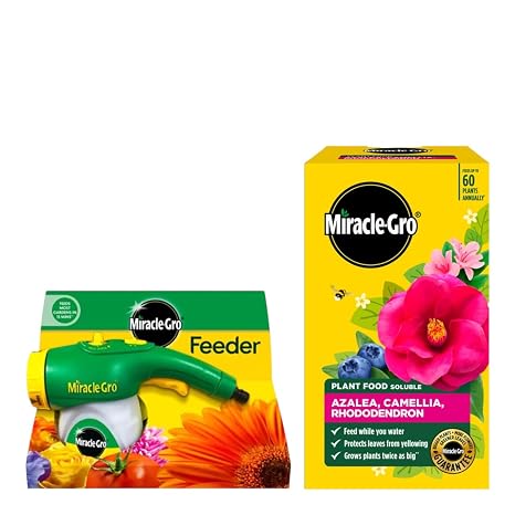 Miracle-Gro Feeder Hose-End Dispenser with Azalea Camellia Rhododendron Soluble Plant Food 1kg Feed While Watering Ericaceous Fertiliser for Acid Loving Plants Greener Leaves Bigger Blooms Use