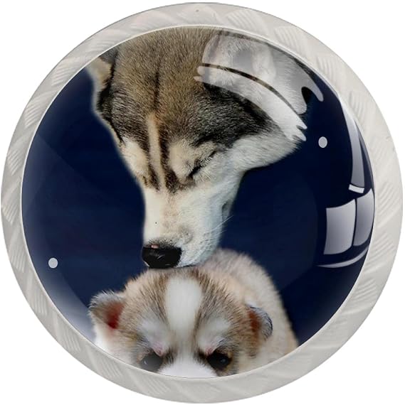 4 Pack Kitchen Cabinet Knobs, Drawer Knobs, Dresser Knobs, Drawer Pulls, Dresser Drawers, Handle Knobs, Husky Lovely Animal Dog Pet