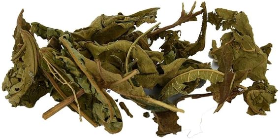 LokmanAVM Doğal İncir Yaprağı 100 Gr Paket
