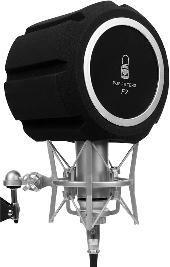 Professional Windscreen Pop Filter for Microphone Noise Reduction Sound-Absorbing Reflection Filter Desktop Mic Sound Pop Shield Foam Cover for Vocal Booth Recording Studio Equipment