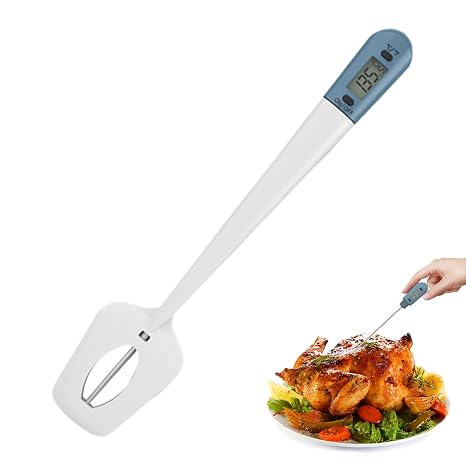 Food Thermograph LCD Display Temperature Measurement