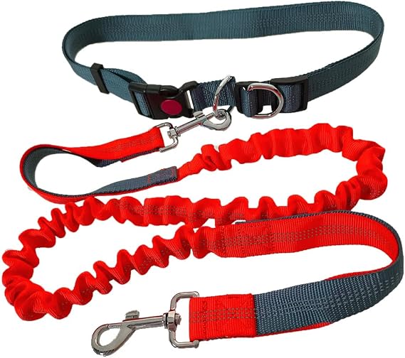 Hands-Free Dog Leash, Grey Adjustable Waist Belt and Orange Dual-Handle Retractable Bungee, Jogging with Reflective Stitching