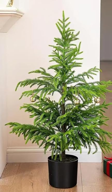 Prelit Artificial Norfolk Pine Tree - 2FT / 60CM Faux Prelight Christmas Tree with 30 Led Potted Plants Real Touch for Indoor Outdoor Home Front Porch Christmas Decor