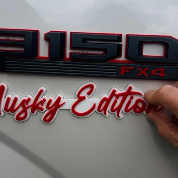 Personalized Car Emblems and Badges,Acrylic 3D Letter Custom Car Badge,Your Own Text Nickname Emblem Badge,Custom Gift (8in cm)