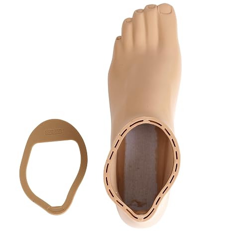 Prosthetic Foot Shell with Cap – Compatible with OSSUR Prosthetic Foot – Sizes 22–30 cm, Left/Right (Left,22CM)