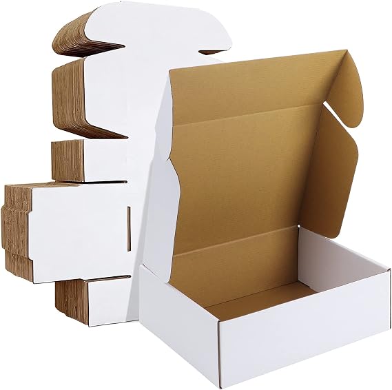 HORLIMER 20 Pack 30.5x22.9x10.2cm(12x9x4 inches) Shipping Boxes, White Corrugated Cardboard Box for packing Mailing