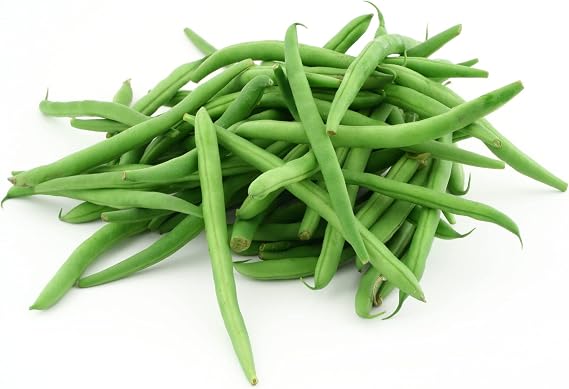 Just Seed Dwarf French Bean - Tendergreen - 120 Seeds
