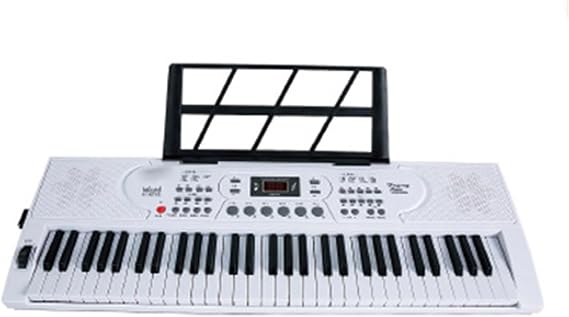 Portable Multifunctional 61 Key Electronic Piano For Beginners And Adults(Type 1)