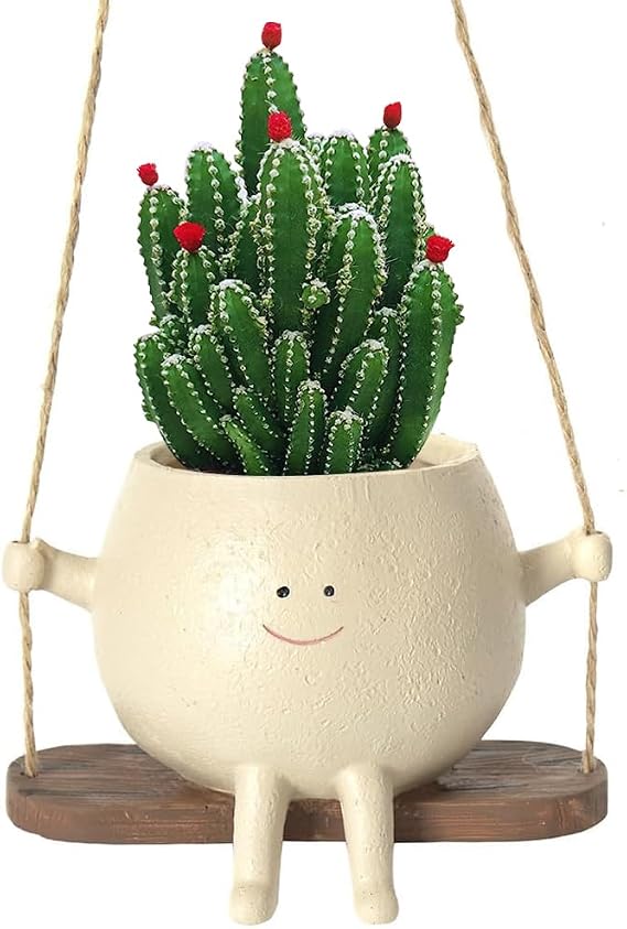 Swing Face Planter Pot, Smile Face Hanging Plant