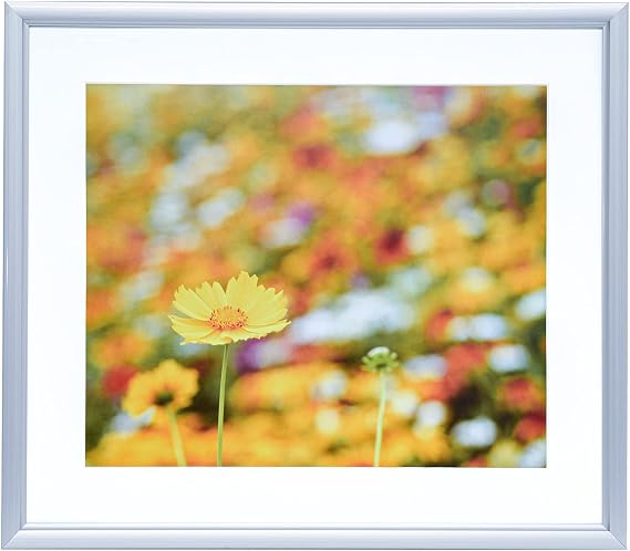 Fujicolor Aluminum Picture Frame A32, Quarto Size, Silver, 306648