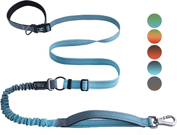 Roses&Poetry Dog Leashes for Large Dogs Heavy Duty,No Pull Bungee Dog Running Waist Leash for Walking Training with Car Seatbelt 4-6FT