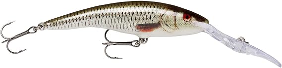 Rapala Deep Tail Dancer lure Live Roach ROL