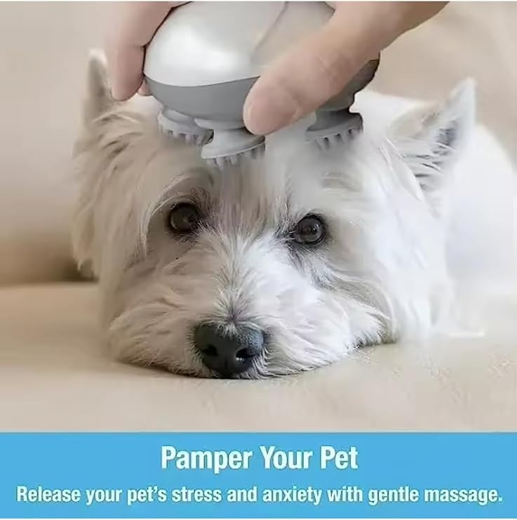 CNGZSHOP Baş Masaj Aleti Şarjlı, Fizyoterapi, Kedi ve Köpek ile Uyumlu, Ergonomik Tasarım