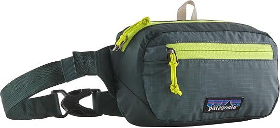 Patagonia Ultralight Black Hole Mini Hip Pack Fanny Pack, Unisex Adult