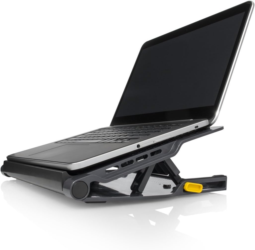 Targus Laptop Cooling Pad with 4-Port USB 2.0 Hub, Dual Fan Chill Mat for Laptops up to 17 Inch, Adjustable Height Laptop Stand, Heat Protection, Black (AWE81EU)