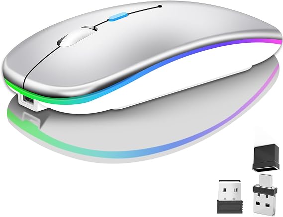 Wireless Bluetooth Mouse for Laptop, Rechargeale Computer Mouse 2.4GHz Optical (Bluetooth5.2+USB A+USB C) Dual Receivers Mice-1600DPI LED Quiet Click for Apple MacBook Laptop Tablet PC Computer,Silver
