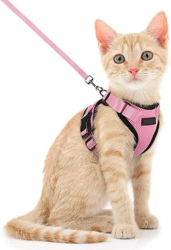 Voarge Adjustable Cat Harness with 150 cm Leash, Safety for Small Medium Large Adult Puppies, Cat Harness for Walking Travel, S, Pink (Pink, S)
