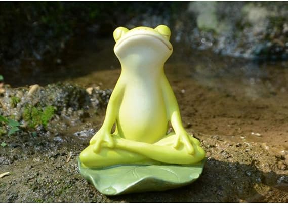 Mini Cute Frog and Turtle Fairy Garden Landscape Flower Pot Dollhouse Decoration (Meditationb)